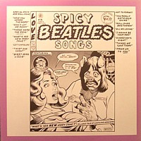 The Beatles - Spicy Beatles Songs